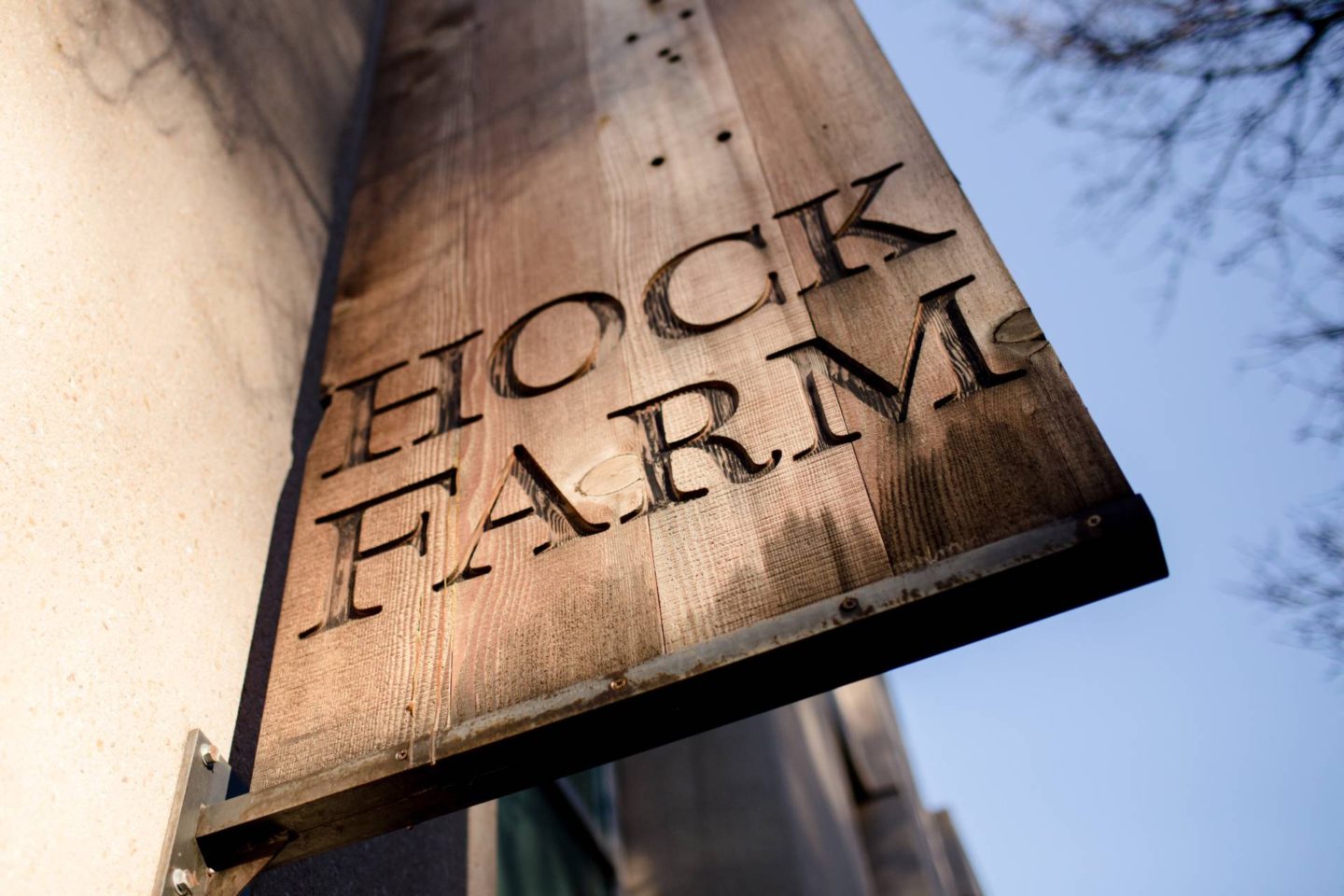 galentines-day-hock-farm