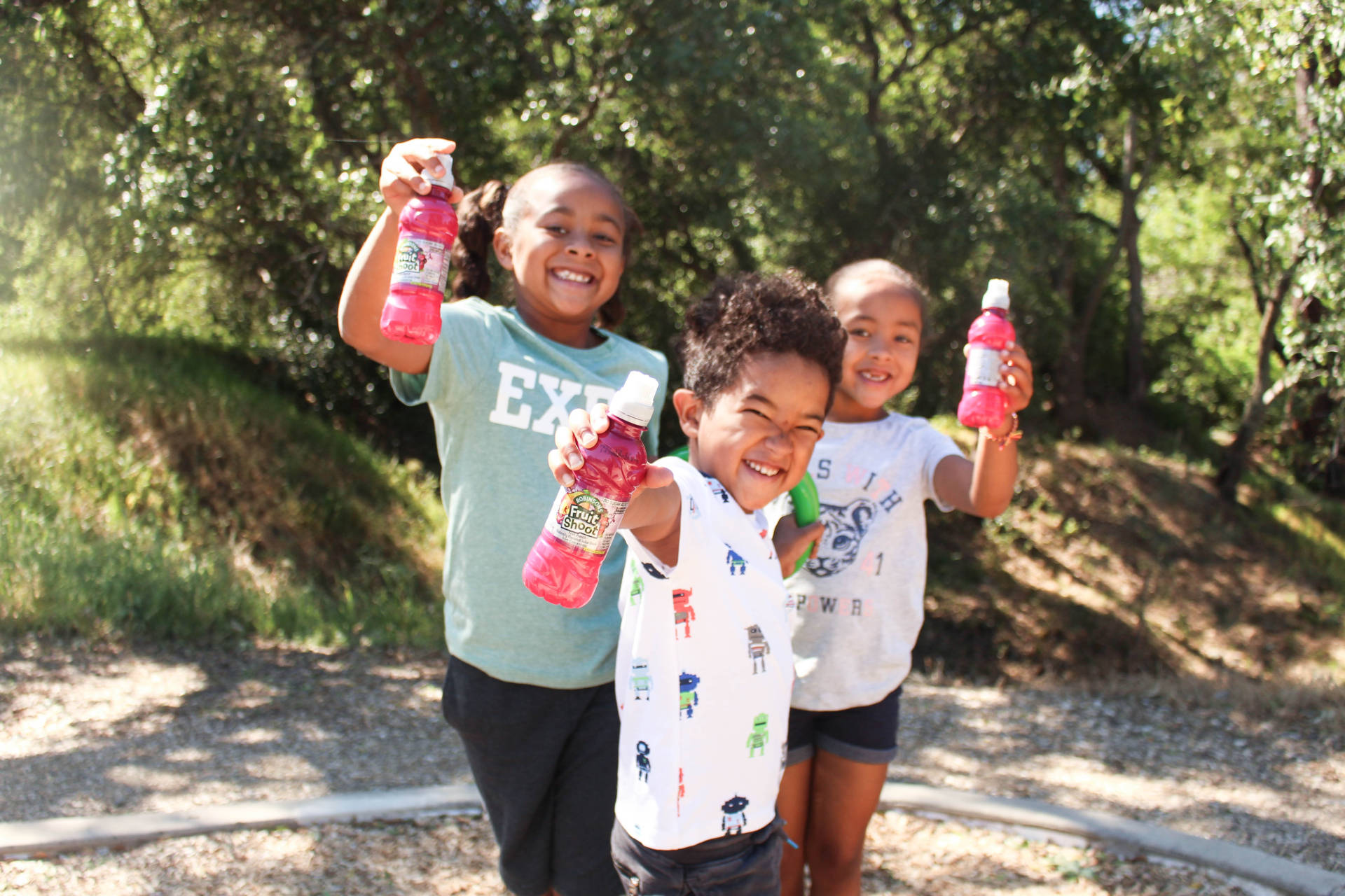 It's My Thing- My Kids' Top Ten Favorite Things- Check out this amazing product for kids!! Fruit Shoot® is made with no artificial flavors and offers varieties made with real sugar, as well as no sugar added! A must try!!