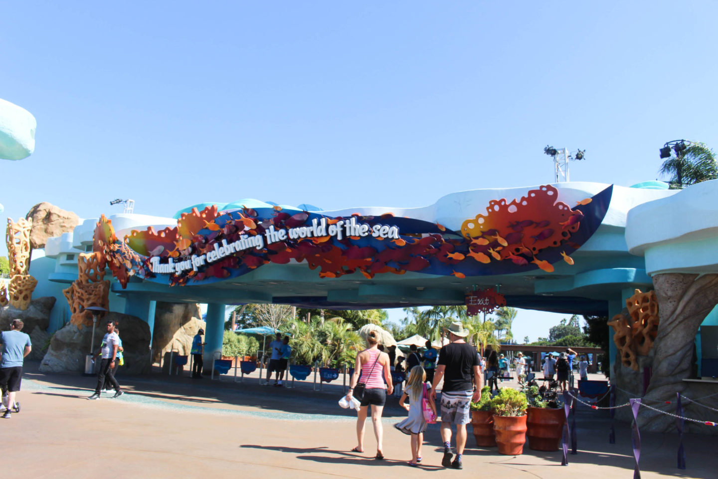 What you must sea and do while at Sea World San Diego for the day!