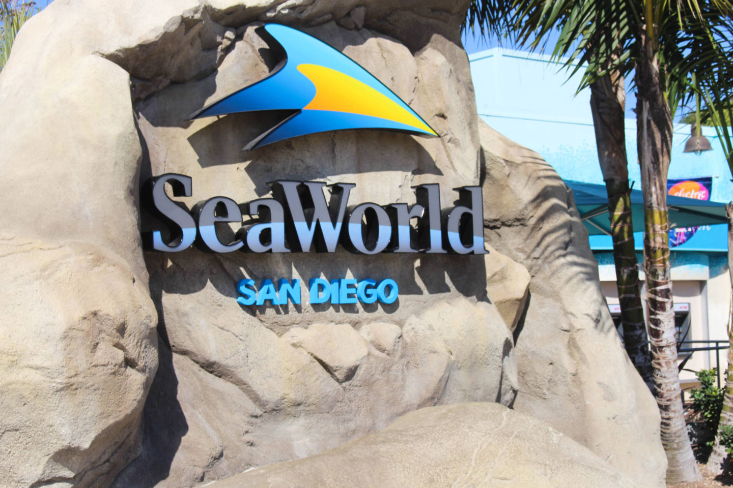 What you must sea and do while at Sea World San Diego for the day!