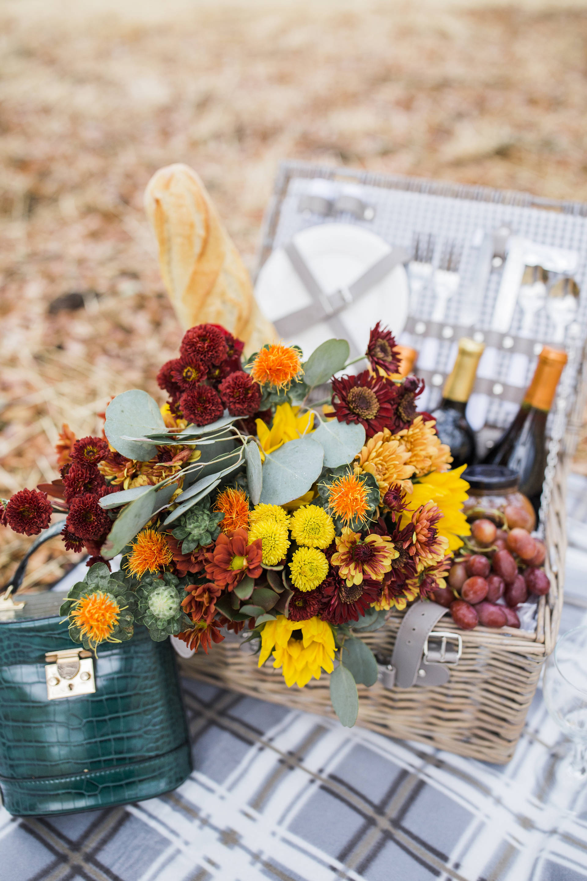 Fall Picnic With Cameron Hughes