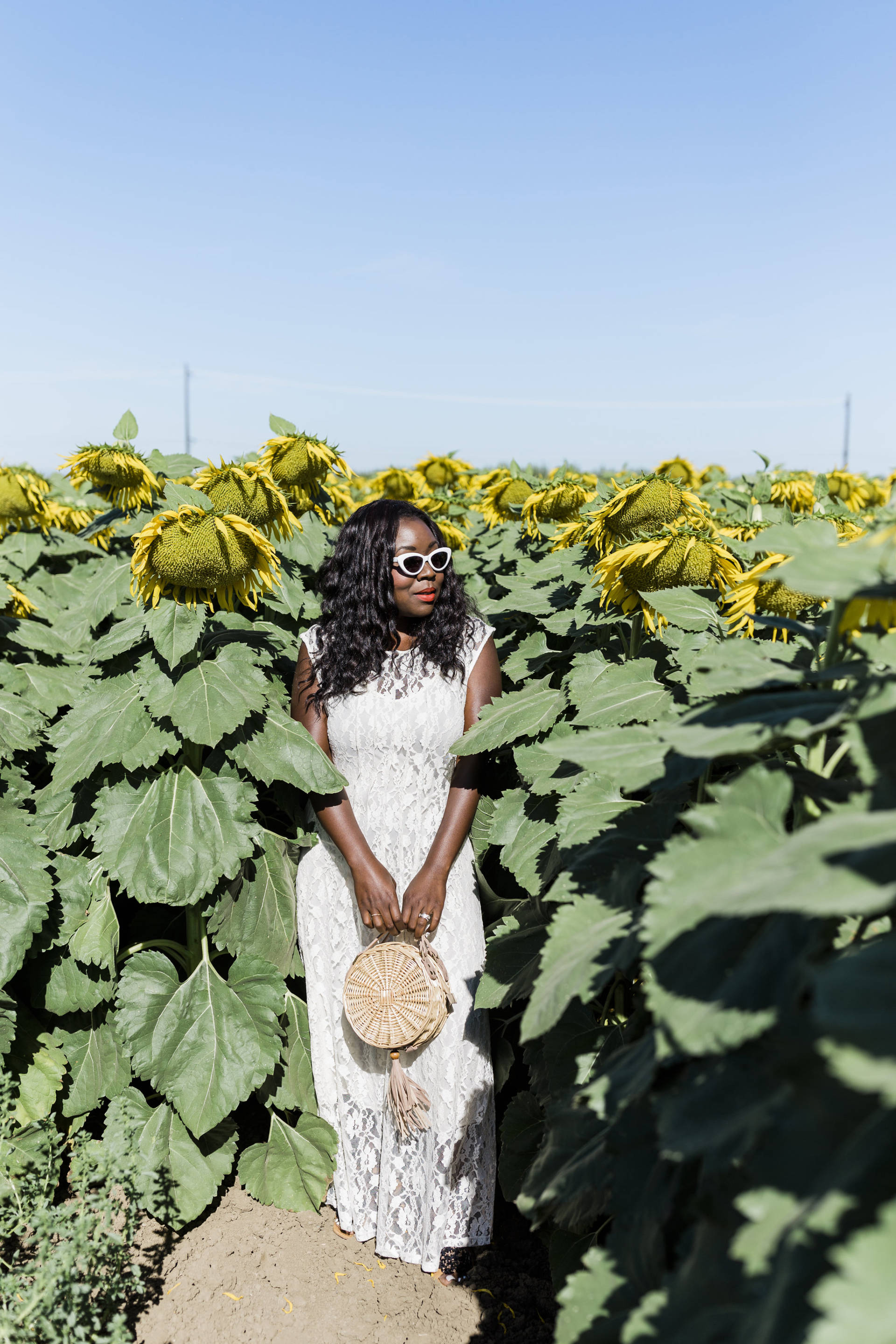 Ruthie Ridley Blog: Sunflower Fields In Winters California