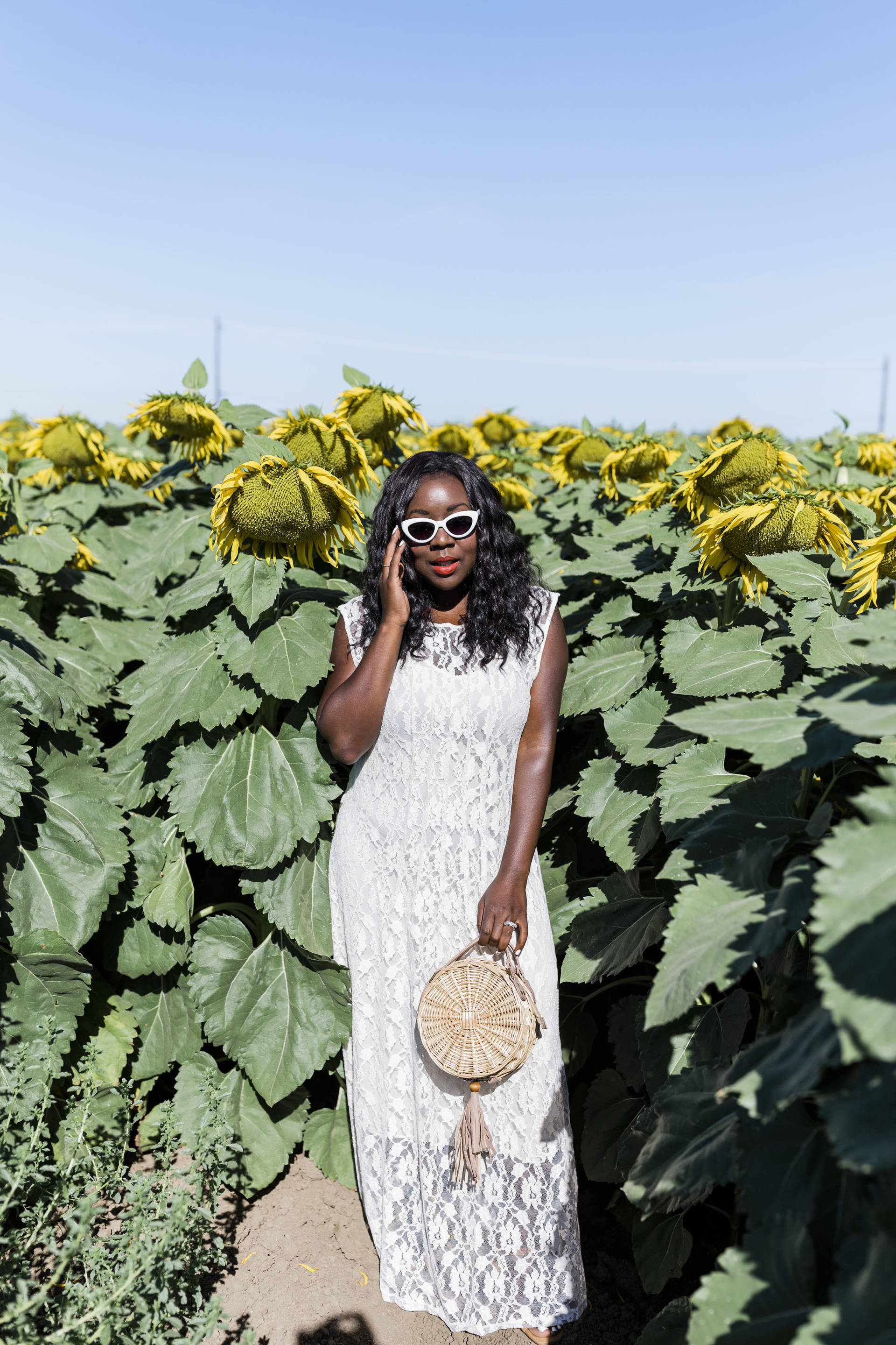 Ruthie Ridley Blog: Sunflower Fields In Winters California