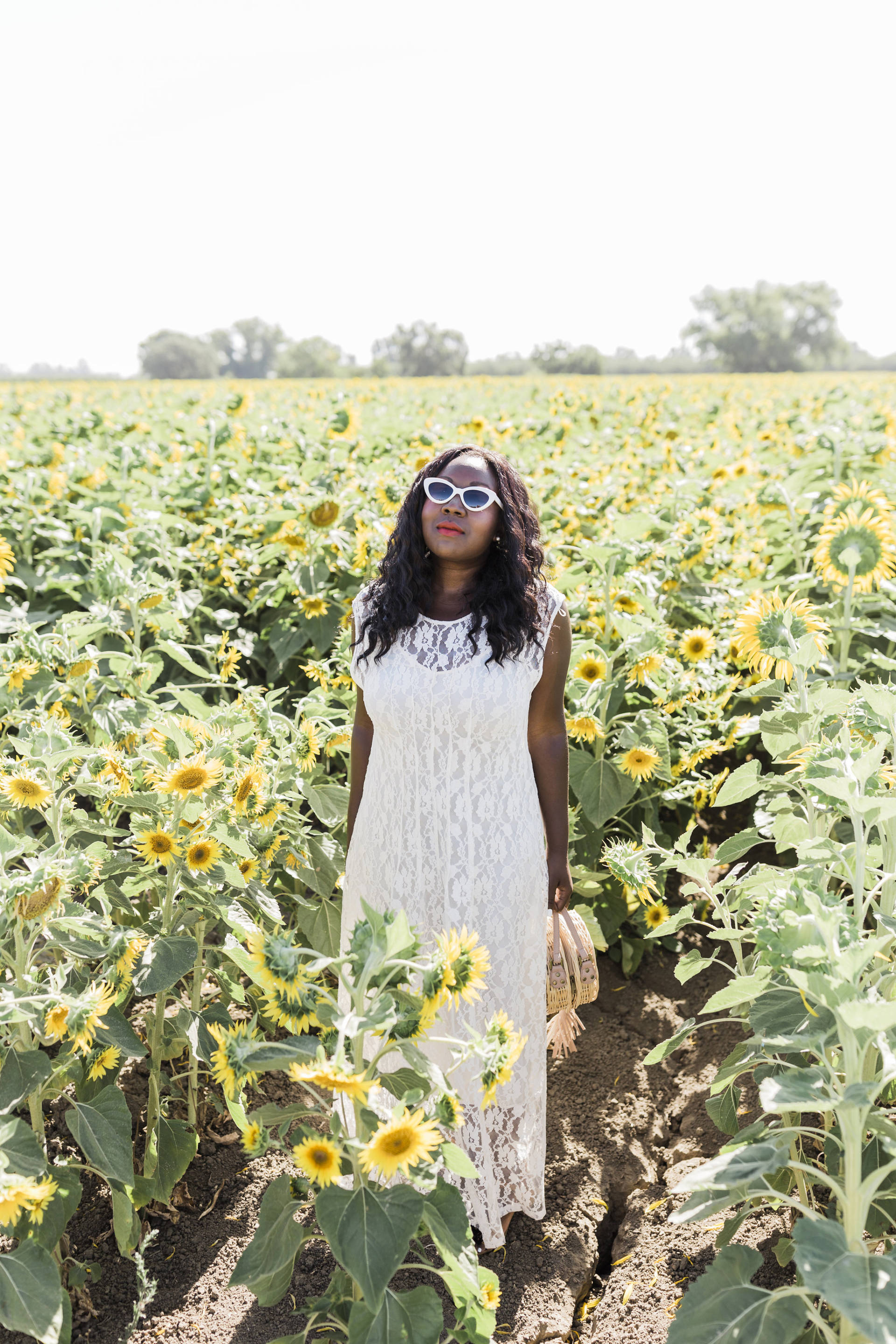 Ruthie Ridley Blog: Sunflower Fields In Winters California