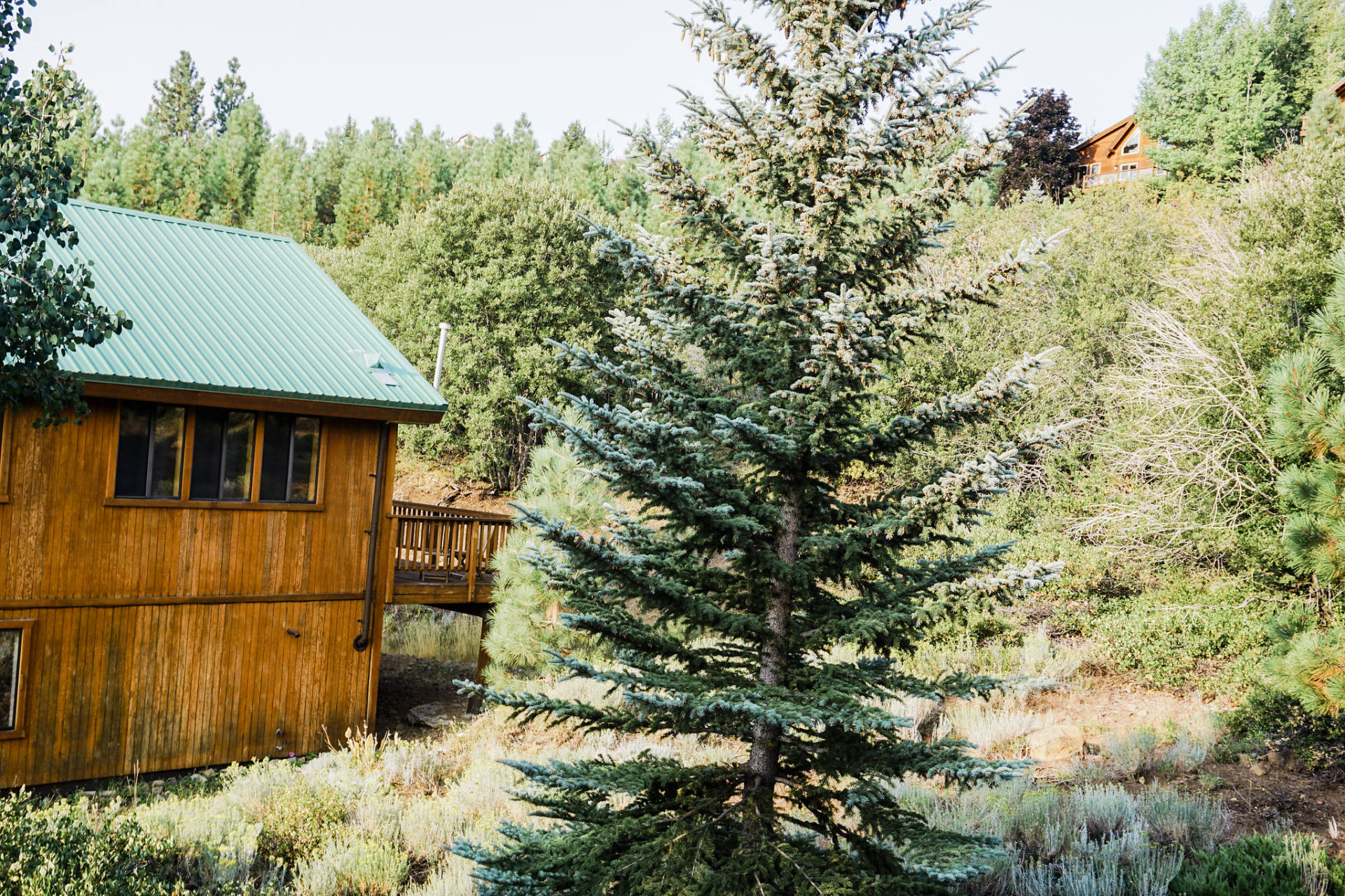 Weekend Getaway To Truckee CA With VRBO: we decided to getaway for one last hurrah before the kids head back to school in a few weeks! VRBO was the perfect option for us! We had the best time and the process to book was simple and easy! Not to mention, they are available to help 24/7.