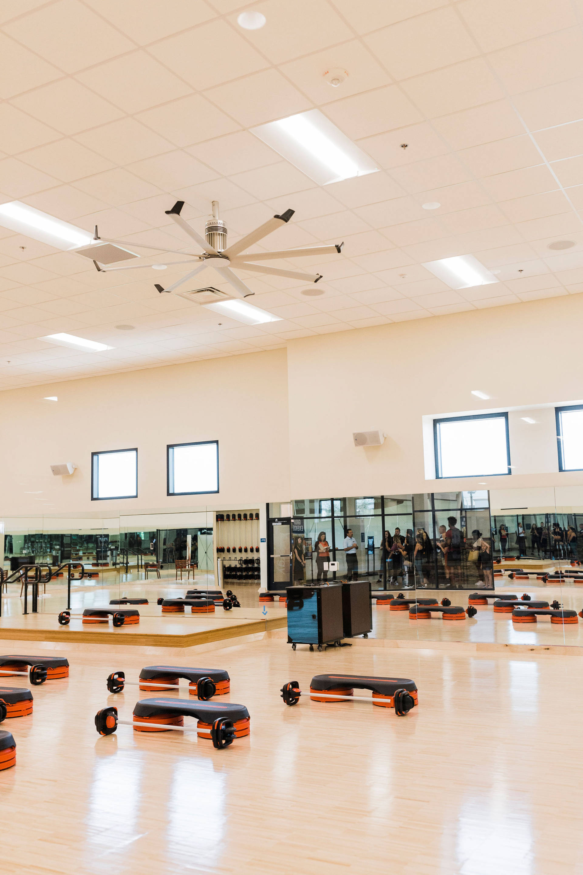 Villa Sport Athletic Club and Spa- Roseville