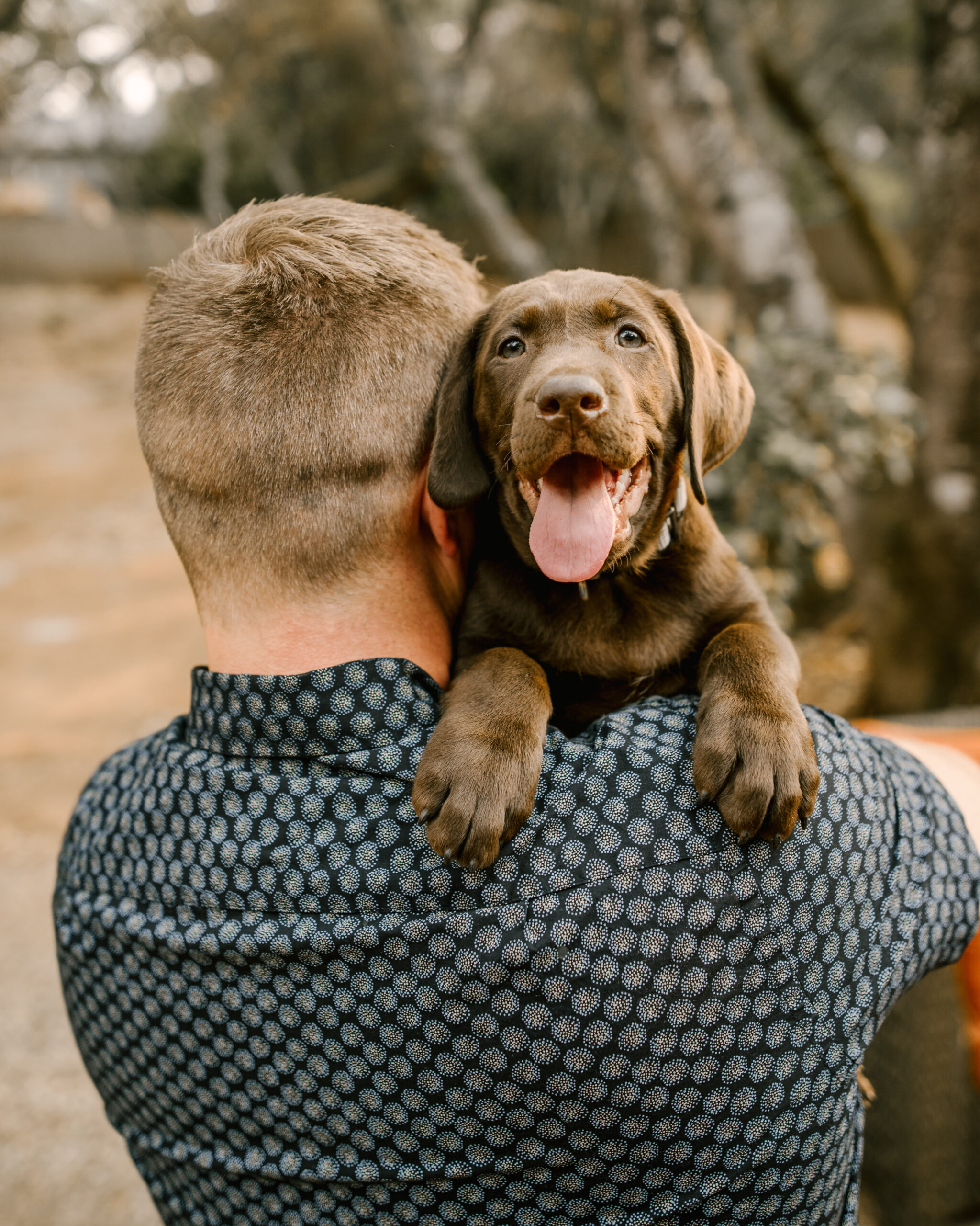 Ruthie Ridley Blog We Got A Puppy