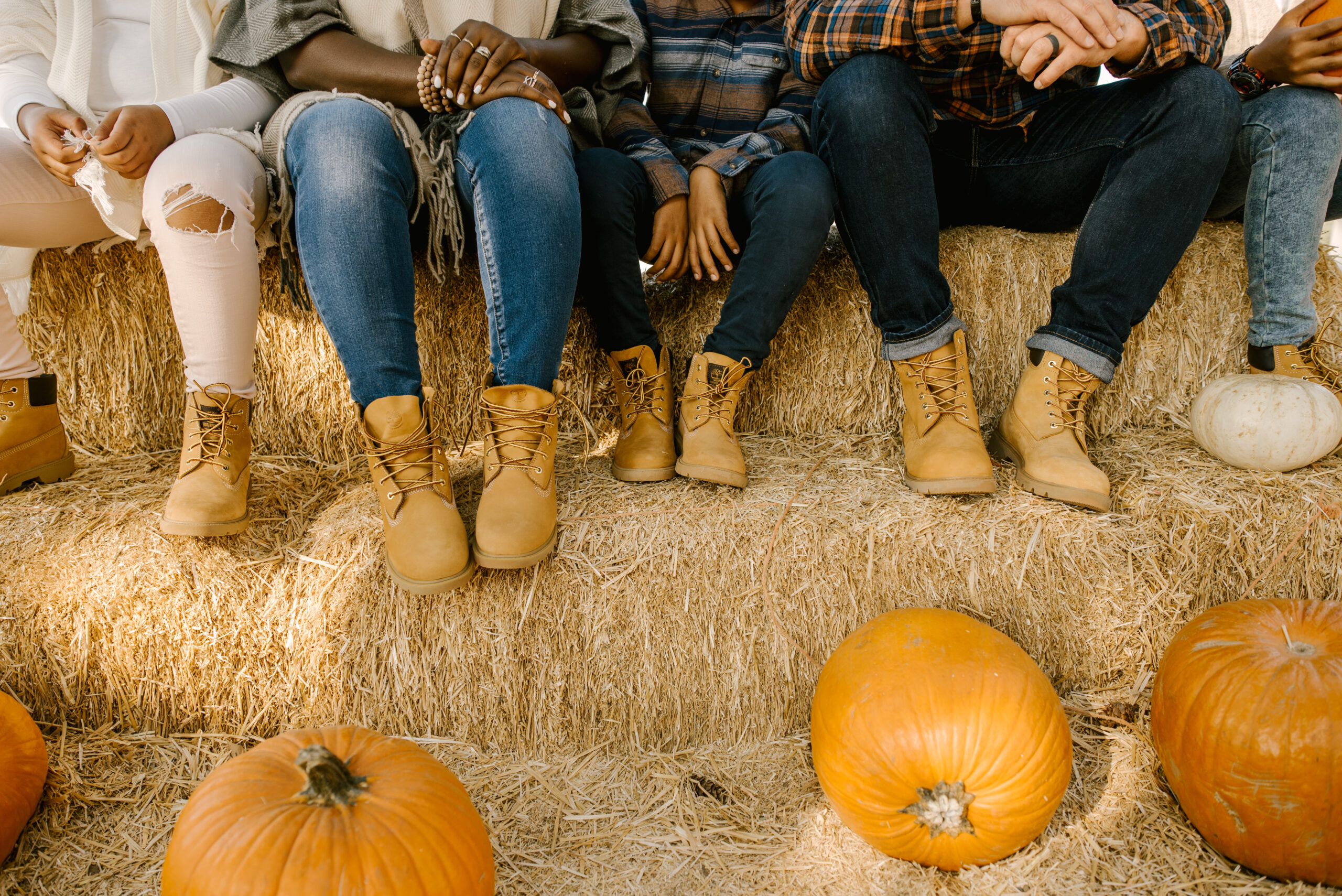 Ruthie Ridley Blog 5 Pumpkin Patches To Visit In NorCal