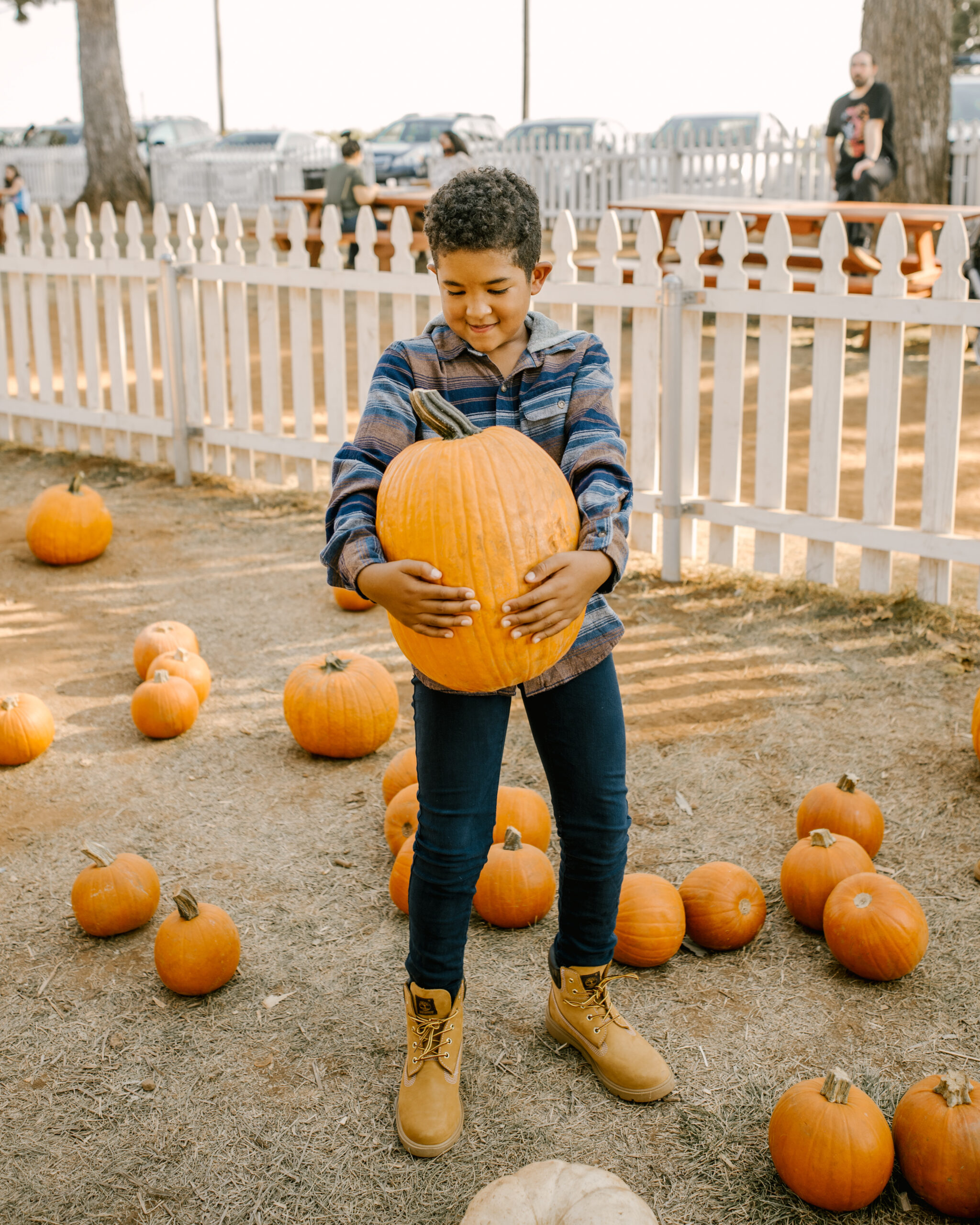 Ruthie Ridley Blog 5 Pumpkin Patches To Visit In NorCal