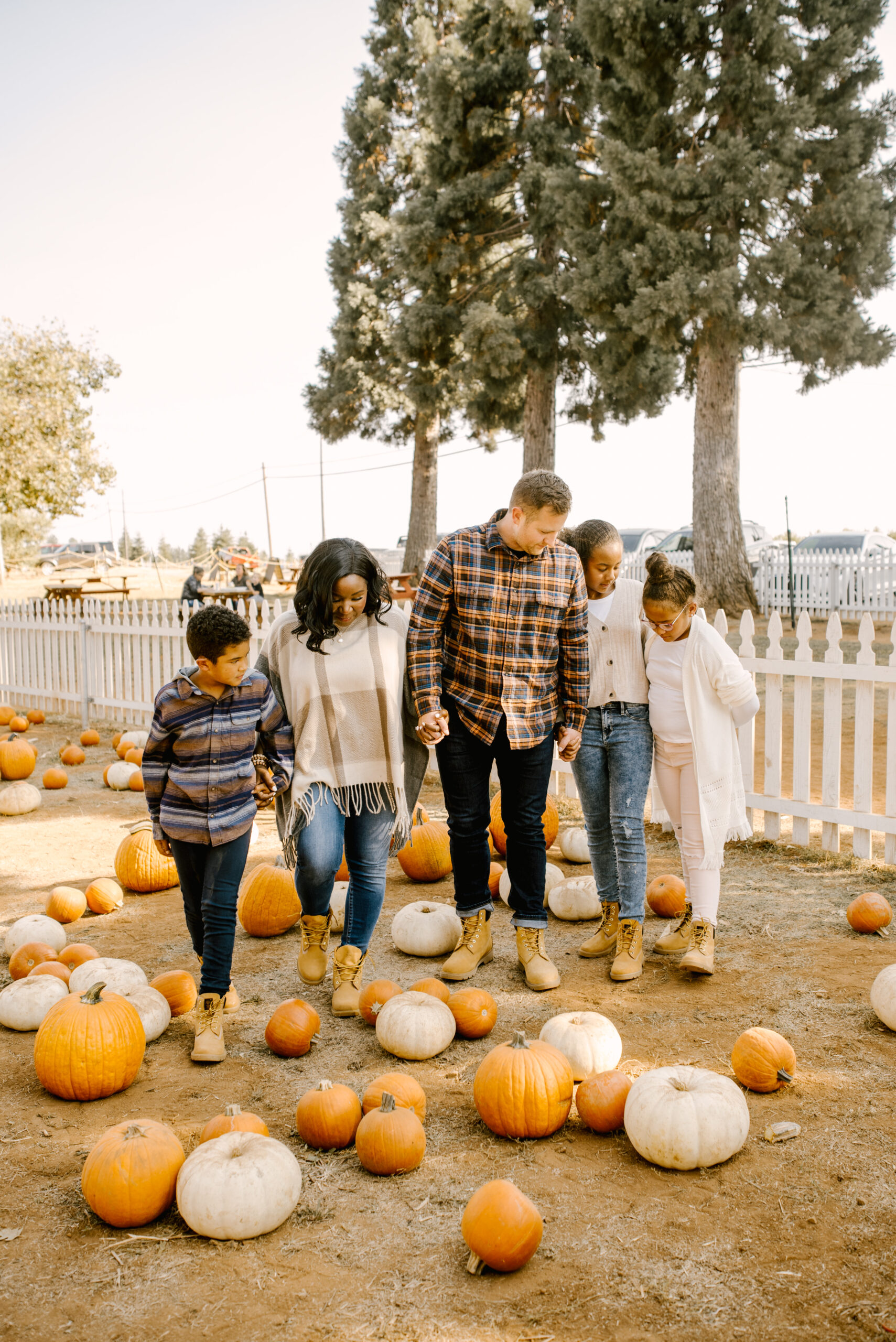 Ruthie Ridley Blog 5 Pumpkin Patches To Visit In NorCal