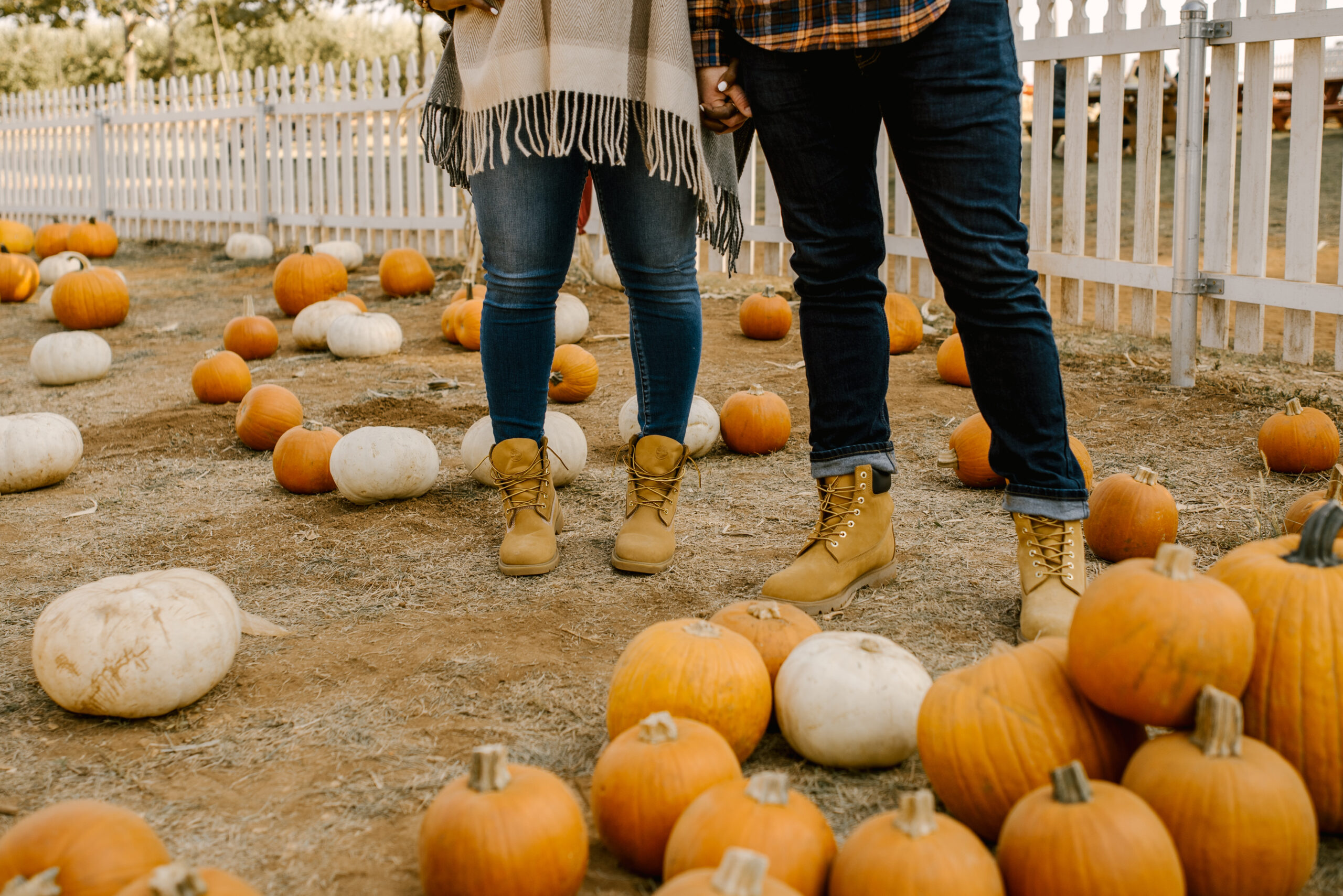 Ruthie Ridley Blog 5 Pumpkin Patches To Visit In NorCal