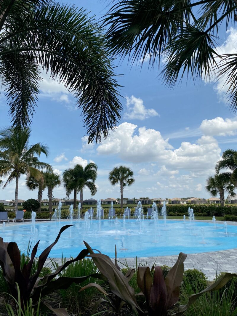 Ruthie Ridley Blog Florida 2021 Naples + Tampa