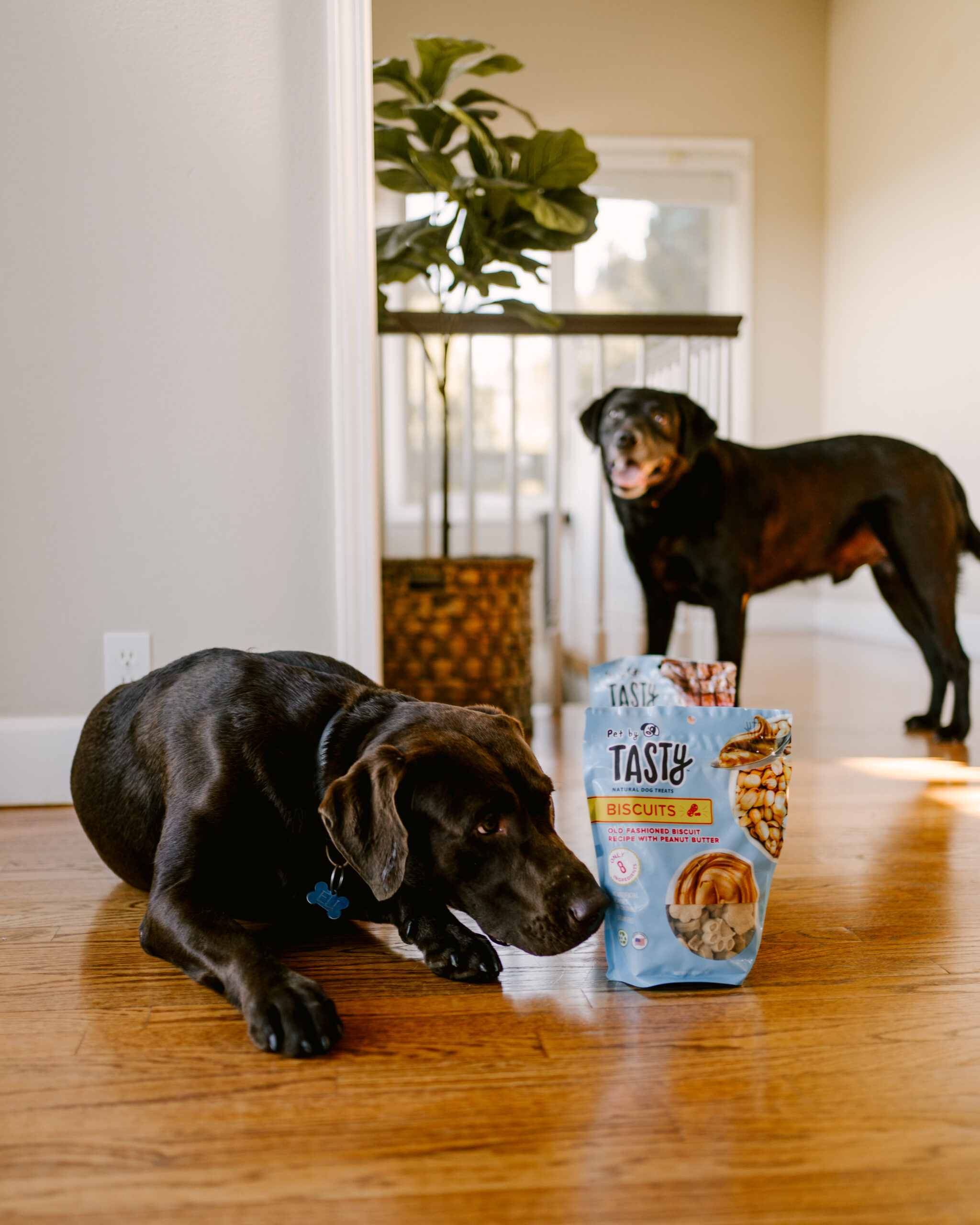 Ruthie Ridley Blog Tasty Treats For Your Pets At Target