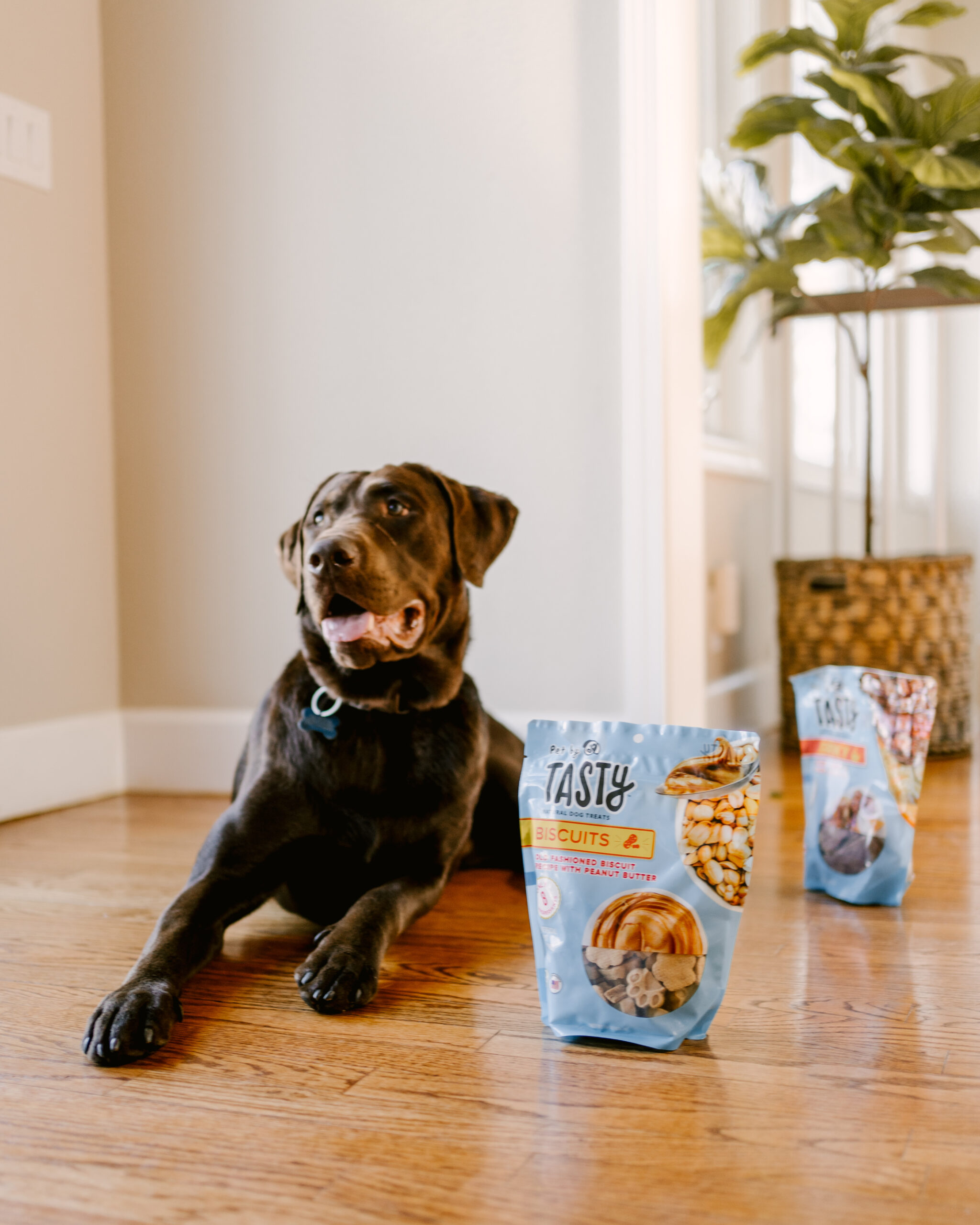 Ruthie Ridley Blog Tasty Treats For Your Pets At Target