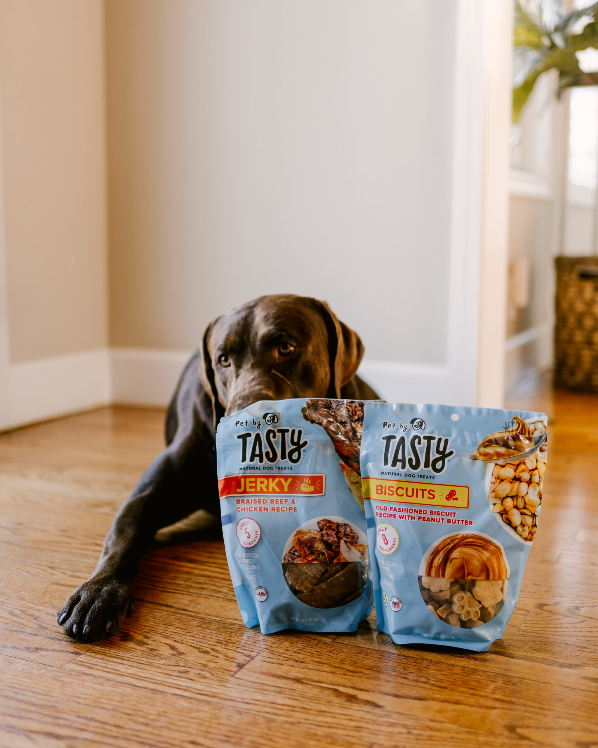 Ruthie Ridley Blog Tasty Treats For Your Pets At Target